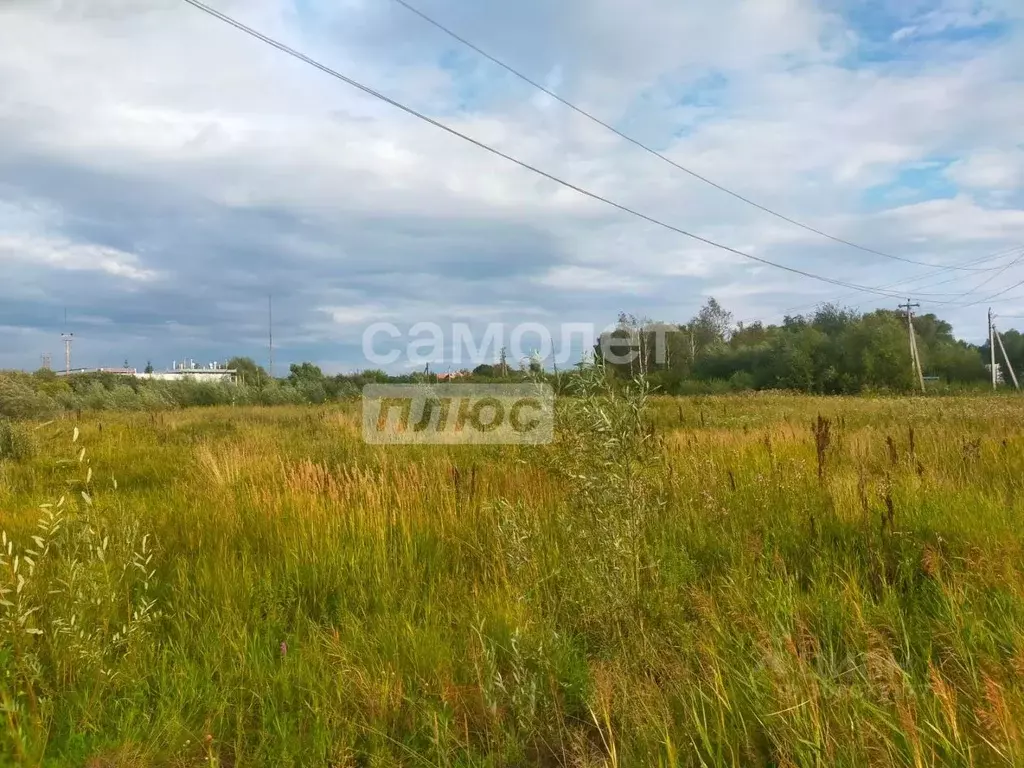 Участок в Новгородская область, Новгородский район, Савинское с/пос, ... - Фото 1