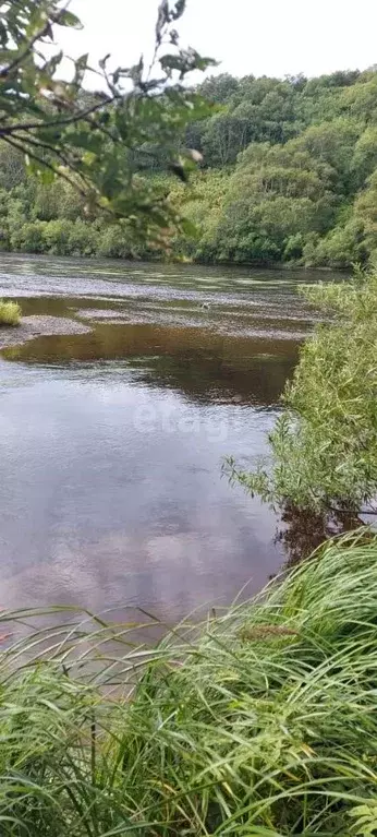 Участок в Камчатский край, Усть-Большерецкий муниципальный округ, пос. ... - Фото 2