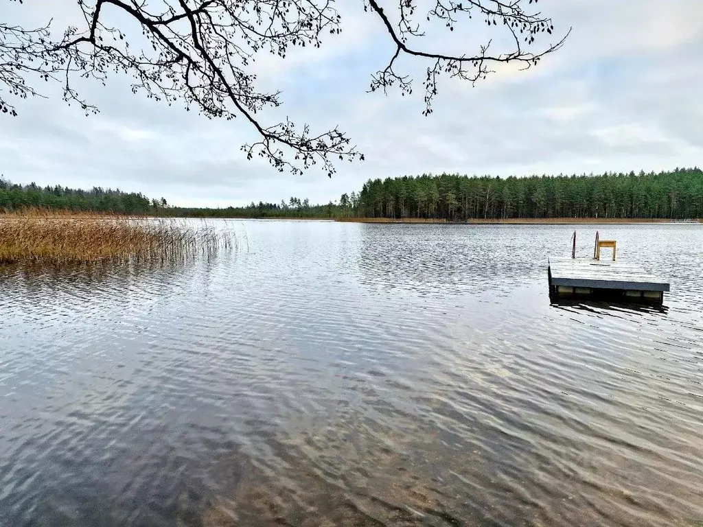 Дом в Ленинградская область, Лужский район, Заклинское с/пос, ... - Фото 1