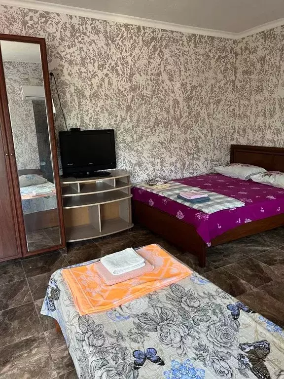Комната Краснодарский край, Сочи пос. Вардане, пер. Огородный, 11/107 - Фото 2