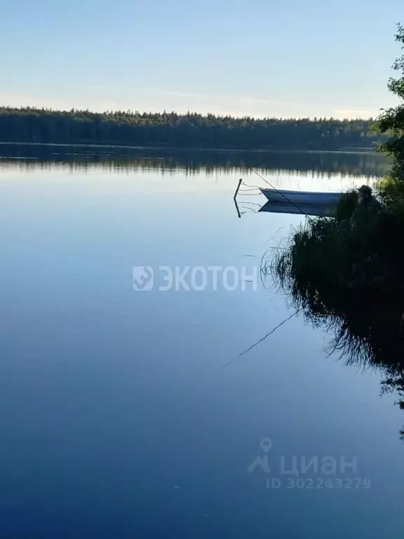 Участок в Ленинградская область, Выборгский район, Первомайское с/пос, ... - Фото 0