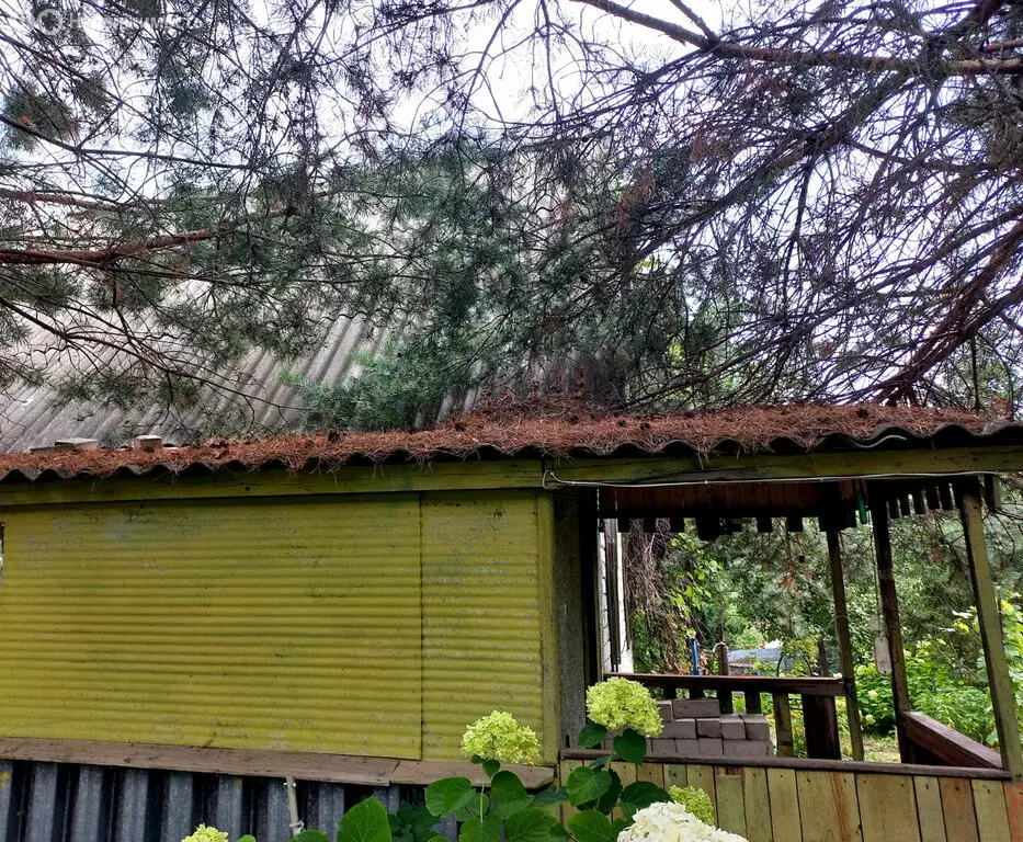 Участок в муниципальное образование Саратов, деревня Долгий Буерак, ... - Фото 1