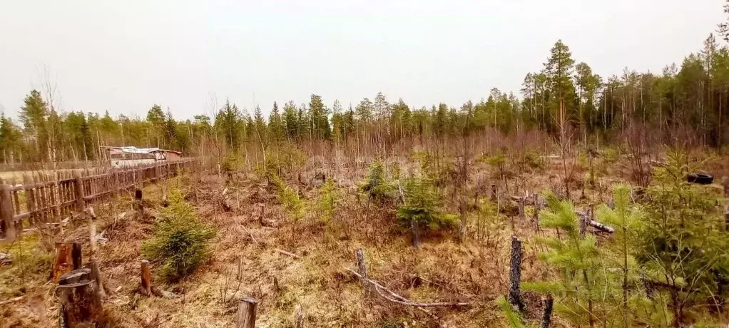 Участок в Коми, Корткеросский район, Додзь муниципальное образование, ... - Фото 1