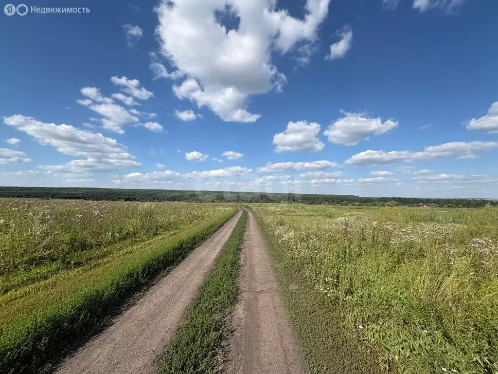 Участок в Республика Мордовия, городской округ Саранск, посёлок ... - Фото 1