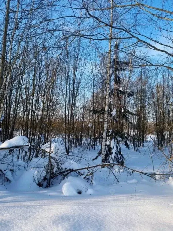 Участок в Московская область, Павлово-Посадский городской округ, д. ... - Фото 1