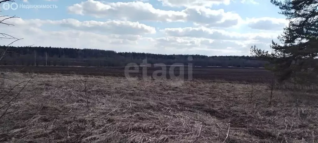 Участок в Вологодский муниципальный округ, деревня Тропино (13 м) - Фото 1