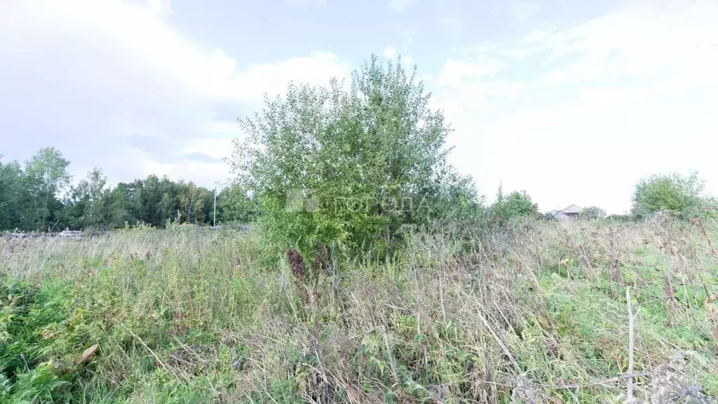 Участок в Томская область, Томский район, д. Козюлино  (15.74 сот.) - Фото 2