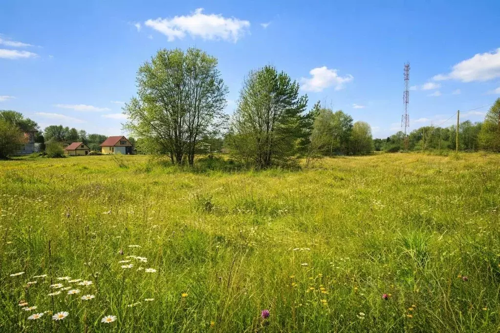 Участок в Ленинградская область, Гатчинский муниципальный округ, д. ... - Фото 1