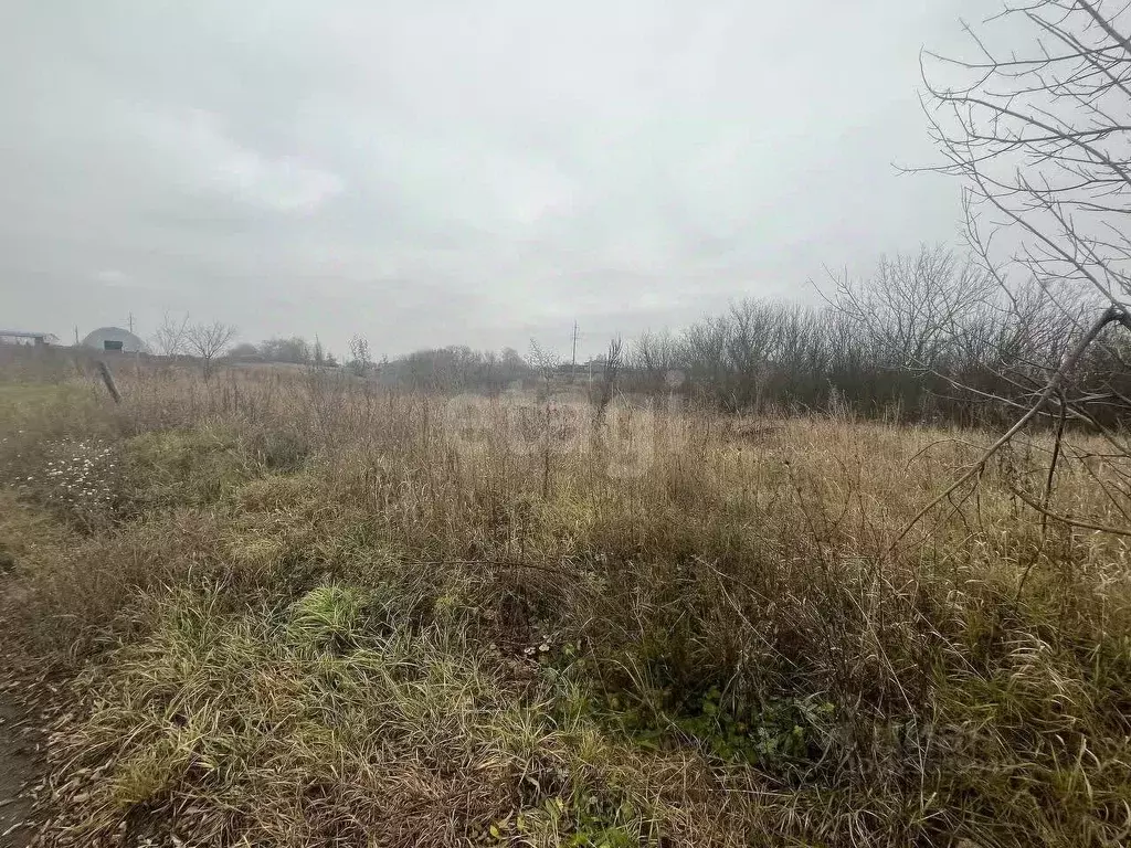 Участок в Белгородская область, Белгородский район, с. Стрелецкое, с. ... - Фото 1