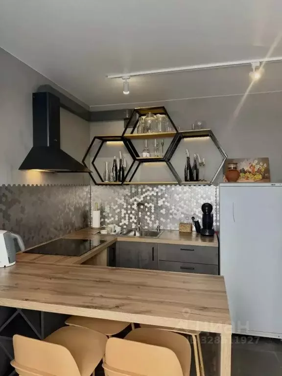 1-к кв. Воронежская область, Рамонский район, Яменское с/пос, Ветряк ... - Фото 2