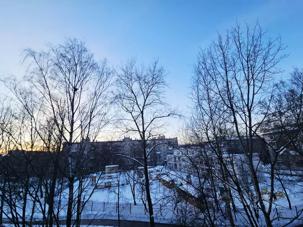 1-к кв. Санкт-Петербург просп. Энергетиков, 40к3 (29.3 м) - Фото 2