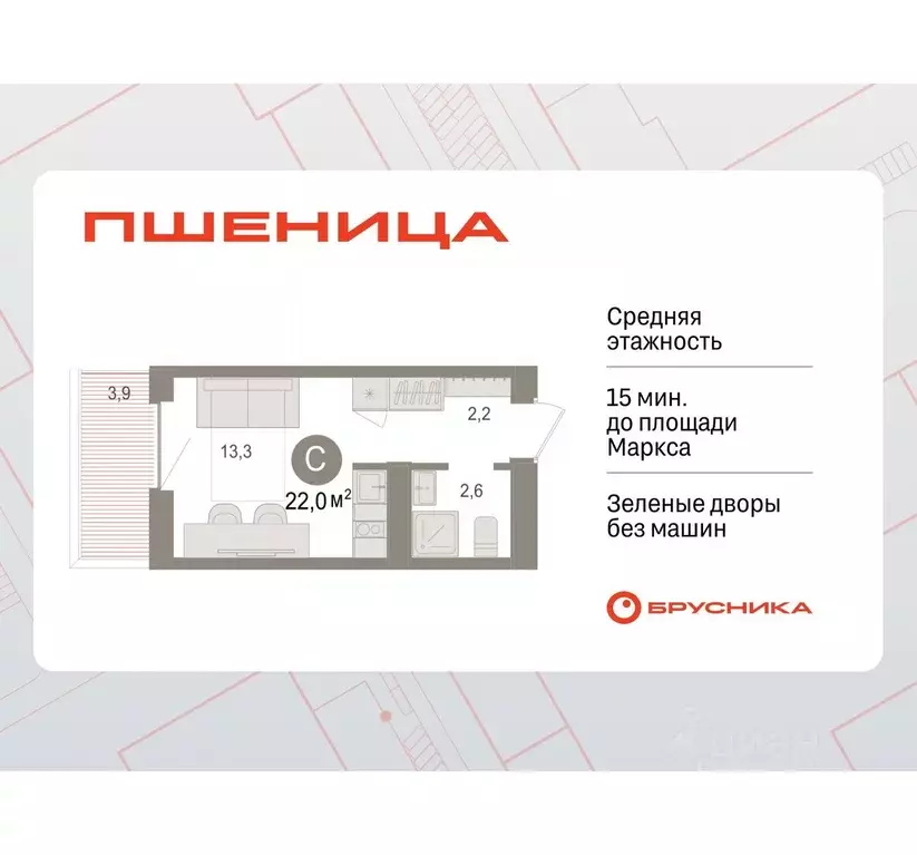 Студия Новосибирская область, Новосибирский район, Краснообск рп ... - Фото 0