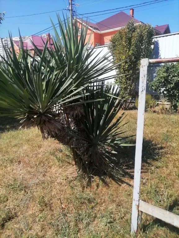 Участок в Краснодарский край, Краснодар Табачная Фабрика мкр, ул. ... - Фото 2