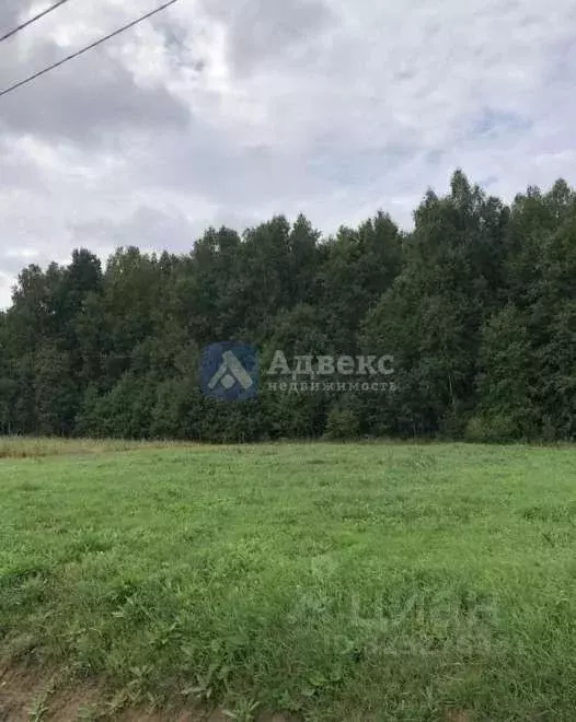 Участок в Свердловская область, Тугулымский муниципальный округ, с. ... - Фото 1