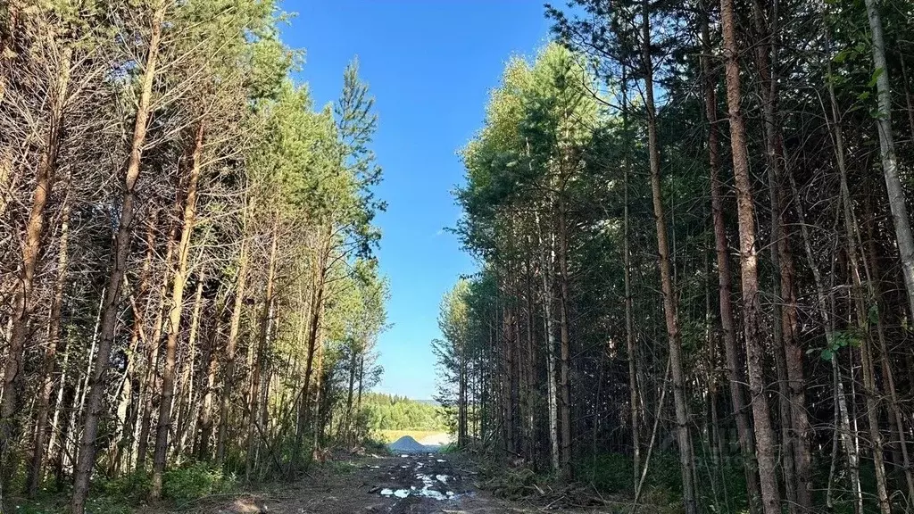 Участок в Свердловская область, Первоуральск муниципальный округ, пос. ... - Фото 1