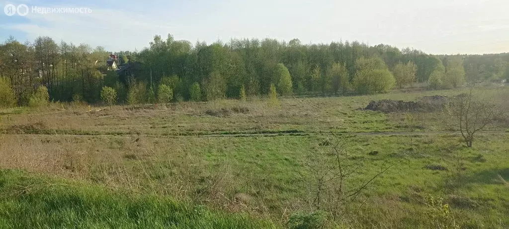 Участок в Орловский муниципальный округ, деревня Кондырева (50 м) - Фото 0