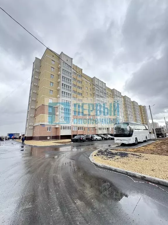 Студия Марий Эл, Медведево городское поселение, Медведево пгт ул. ... - Фото 0
