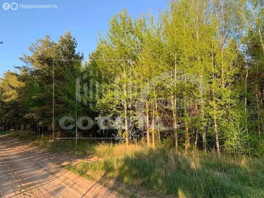 Участок в село Нелжа, Набережная улица (11.5 м) - Фото 2