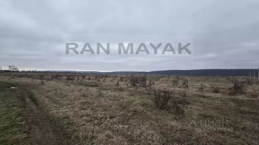 Участок в Адыгея, Майкопский район, Победенское с/пос, Причтовский ... - Фото 2