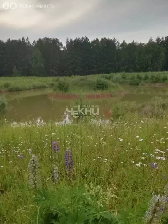 Участок в Нижегородская область, Дальнеконстантиновский муниципальный ... - Фото 1