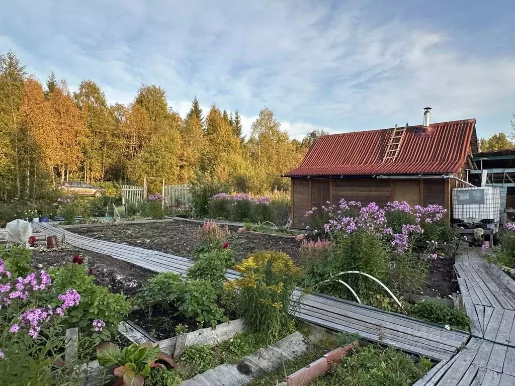 Дом в Архангельская область, Приморский муниципальный округ, ... - Фото 1