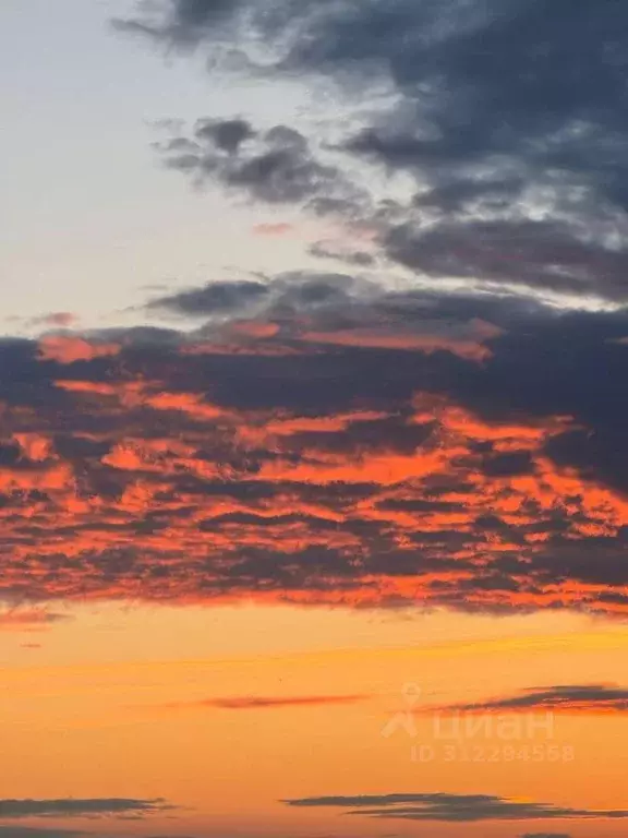 4-к кв. Самарская область, Самара Осетинская ул., 12 (132.0 м) - Фото 2