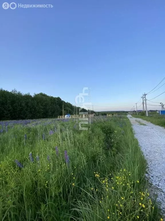 Участок в Нижегородская область, Богородский муниципальный округ, село ... - Фото 2