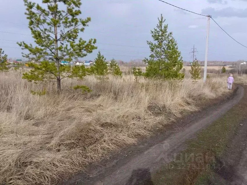 Участок в Курганская область, Кетовский муниципальный округ, ... - Фото 2