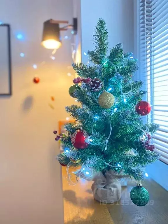 1-к кв. Калининградская область, Калининград ул. Героя России ... - Фото 1