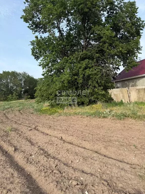 Участок в Волгоградская область, Среднеахтубинский район, Фрунзенское ... - Фото 0