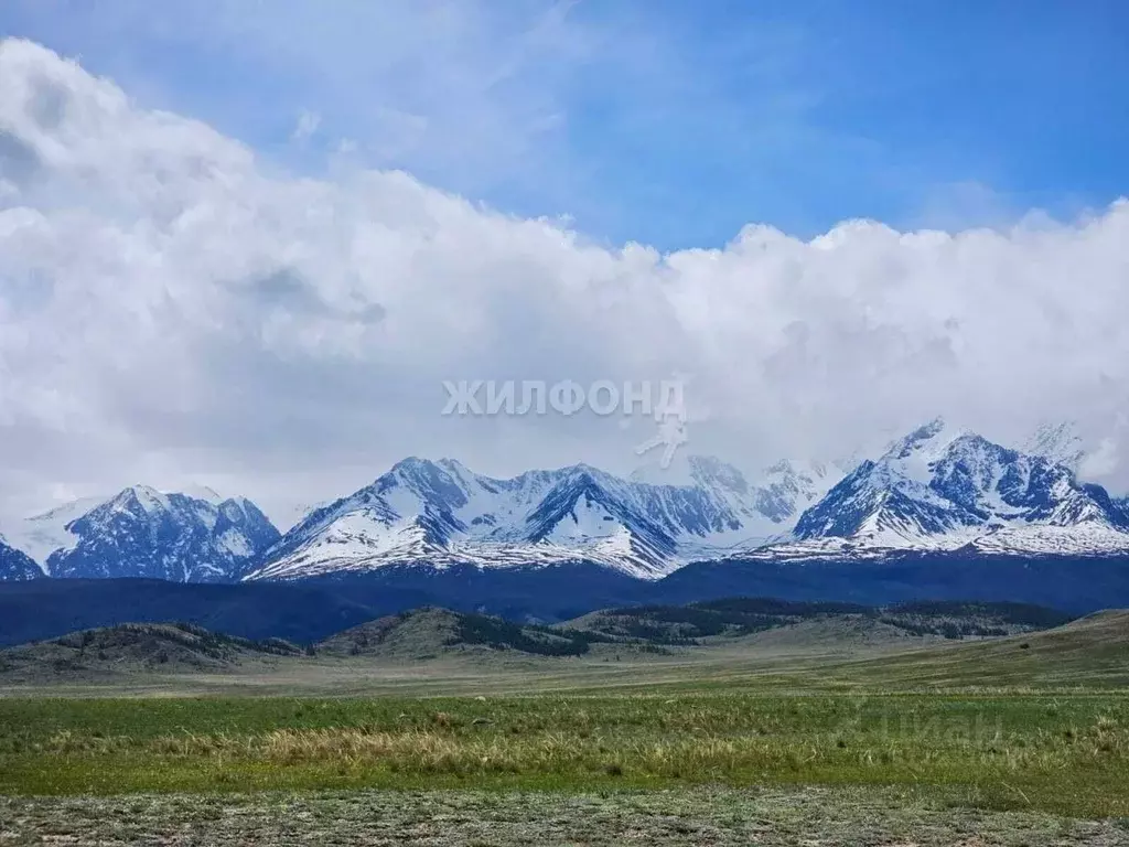 Участок в Алтай, Кош-Агачский район, с. Теленгит-Сортогой Центральная ... - Фото 1