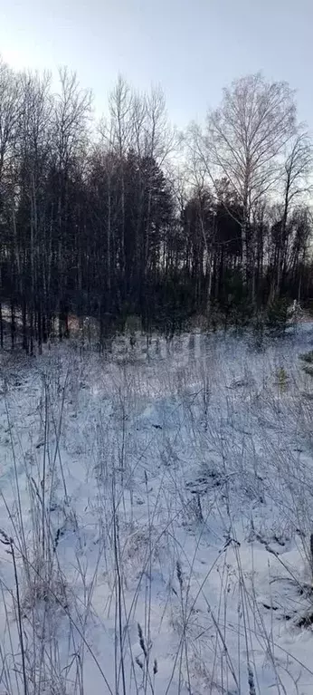 Участок 10 сот. (ИЖС) - Фото 1