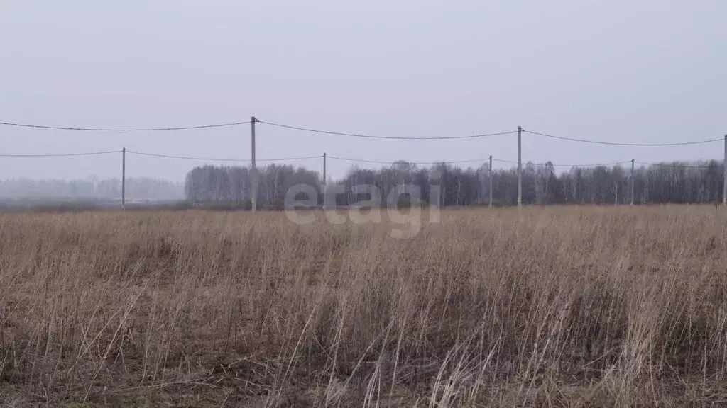 Участок в Тюменская область, Тюменский район, д. Малиновка  (5.0 сот.) - Фото 0