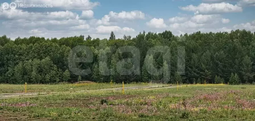 Участок в муниципальный округ Омский район, деревня Подгородка, ... - Фото 2