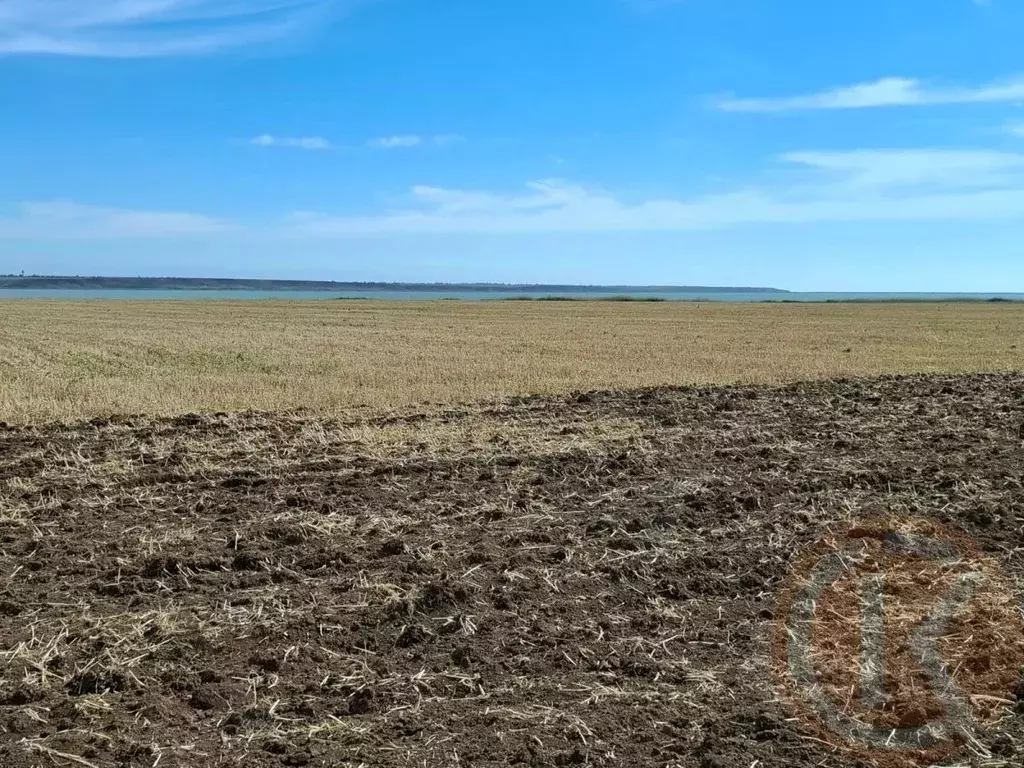 Участок в Крым, Сакский район, с. Фрунзе  (1400.0 сот.) - Фото 2