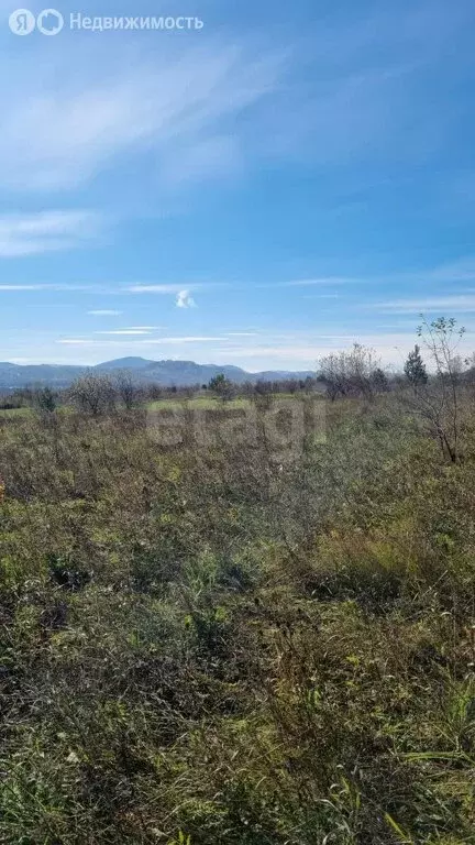 Участок в Майминский район, село Кызыл-Озек, Солнечный переулок (13.23 ... - Фото 2