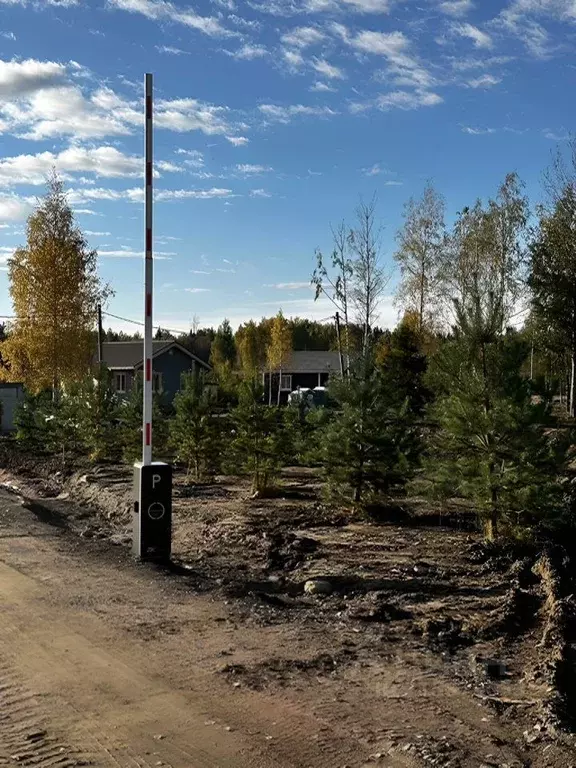 Участок в Ленинградская область, Ломоносовский район, д. Низино ... - Фото 1