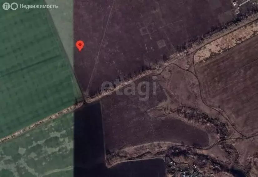 Участок в Тамбовский муниципальный округ, посёлок совхоза Комсомолец, ... - Фото 2