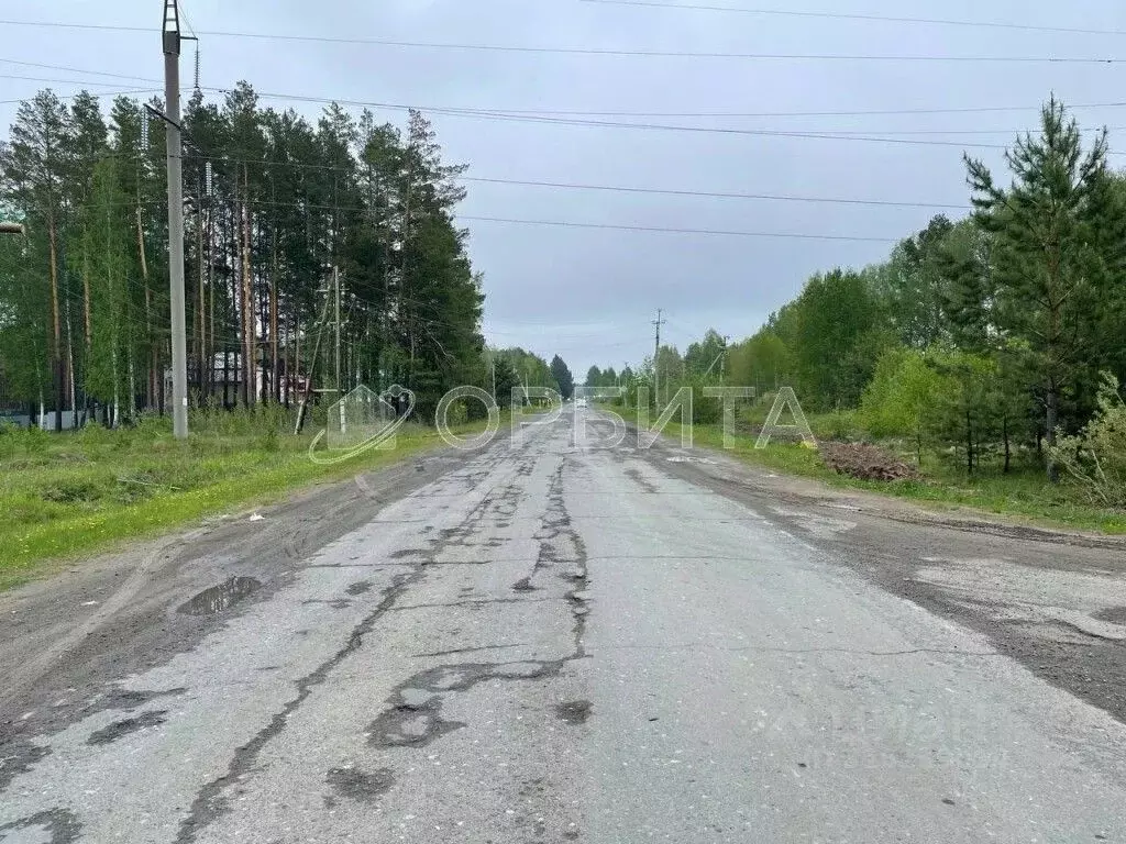 Участок в Тюменская область, Нижнетавдинский район, с. Тюнево  (17.02 ... - Фото 1