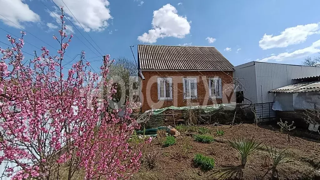 Дом в Краснодарский край, Апшеронск пер. Горького, 5 (39 м) - Фото 0