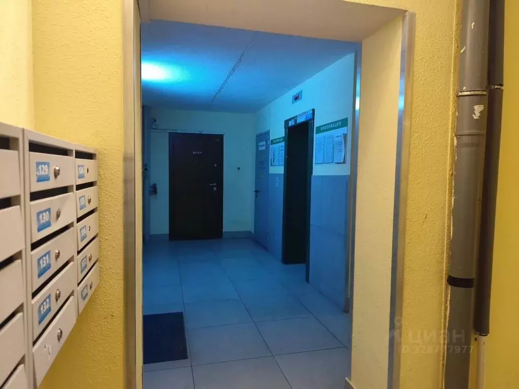 2-к кв. Свердловская область, Екатеринбург ул. Ангарская, 54Б (62.0 м) - Фото 2