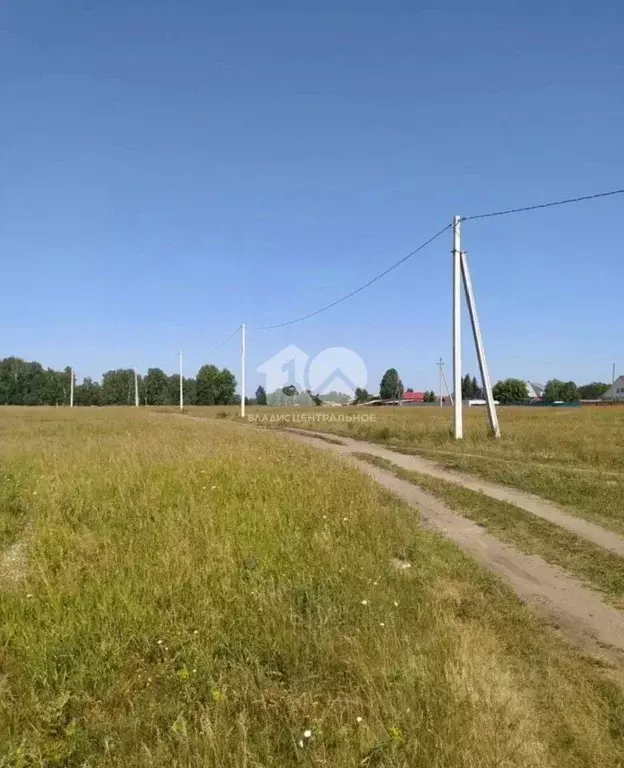 Участок в Новосибирская область, Ордынский район, д. Новый Шарап ул. ... - Фото 1