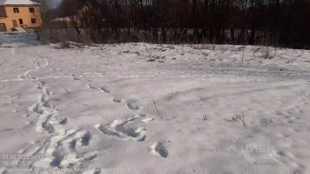 Участок в Московская область, Клин городской округ, д. Василево  (15.0 ... - Фото 1