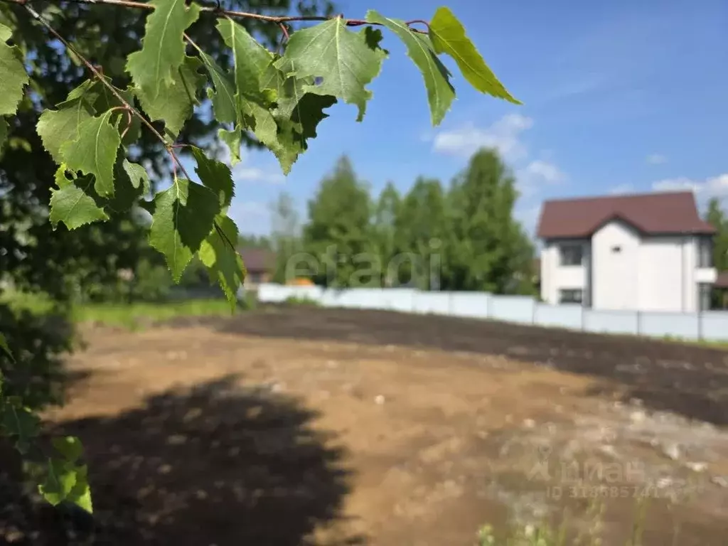 Участок в Кемеровская область, Кемеровский район, д. Солонечная ул. ... - Фото 0