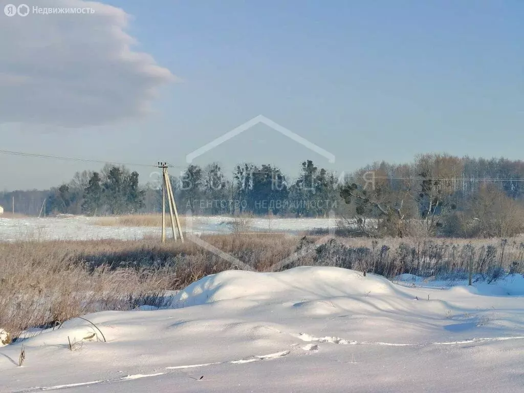 Дом в Калининградская область, Гурьевский муниципальный округ, посёлок ... - Фото 2