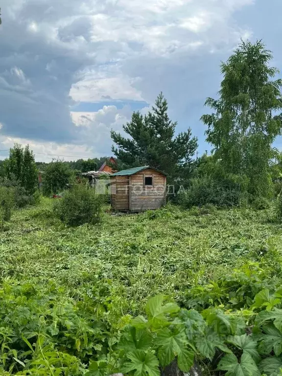 Участок в Новосибирская область, Бердск Ива СНТ, ул. 16-я, 9 (5.0 ... - Фото 1