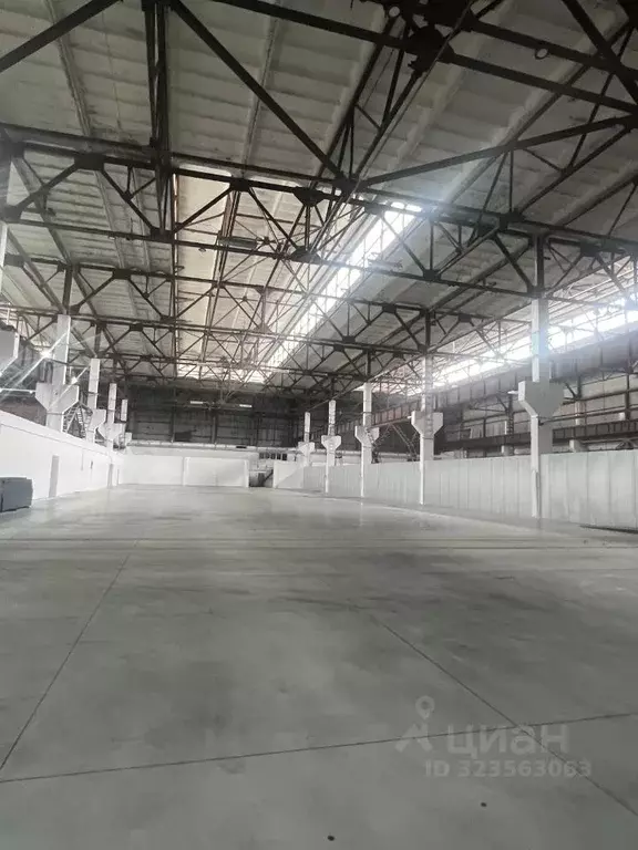 Производственное помещение в Воронежская область, Нововоронеж ... - Фото 1