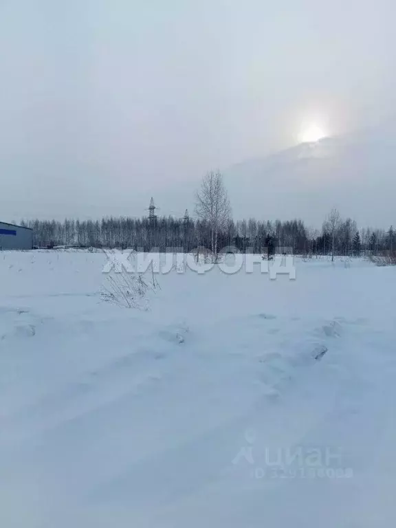 Участок в Новосибирская область, Новосибирский район, Станционный ... - Фото 1