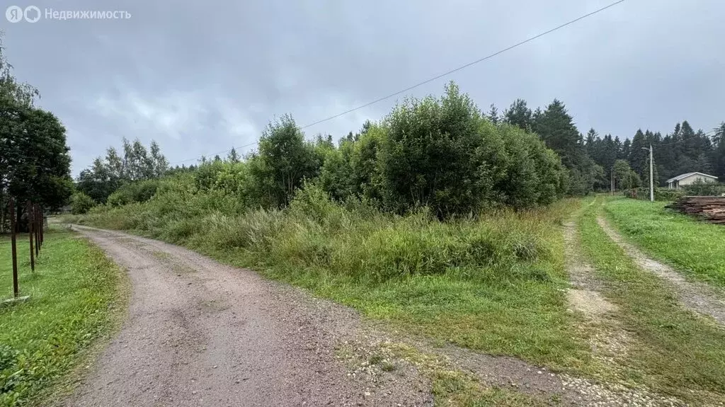 Участок в Мелегежское сельское поселение, деревня Новоандреево (17.36 ... - Фото 1