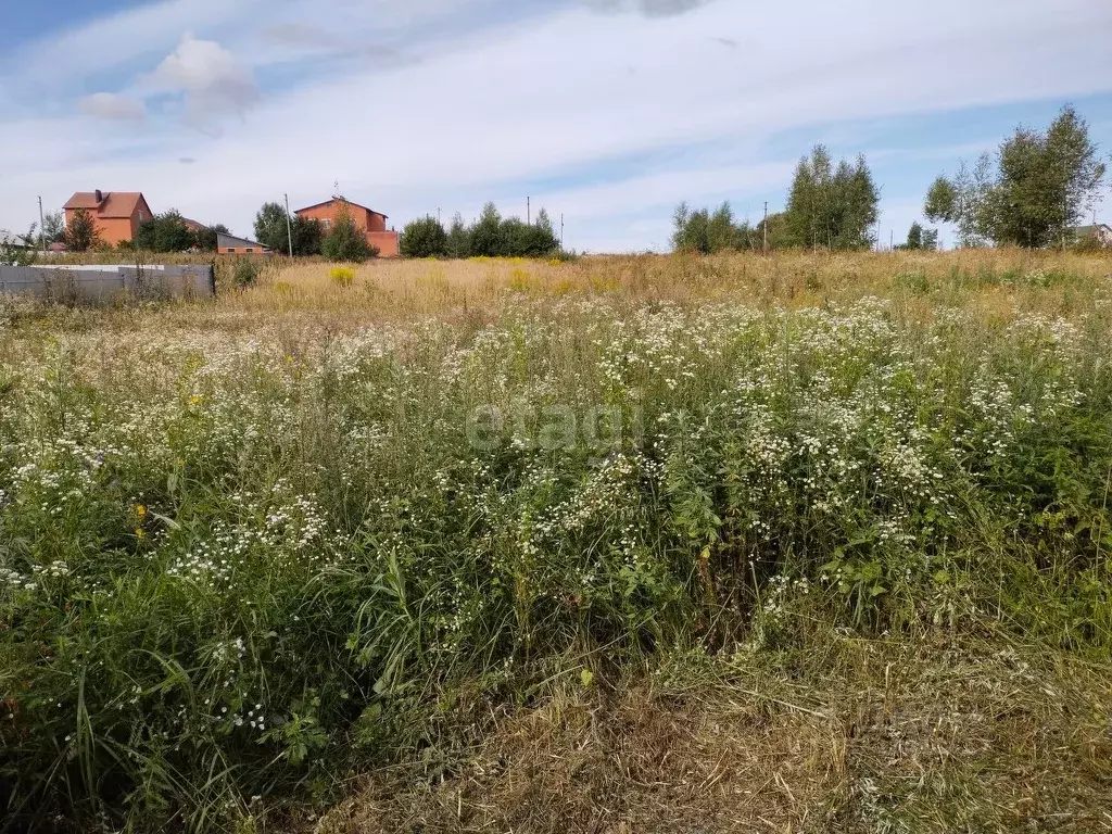 Купить Земельный Участок В Брянской Области
